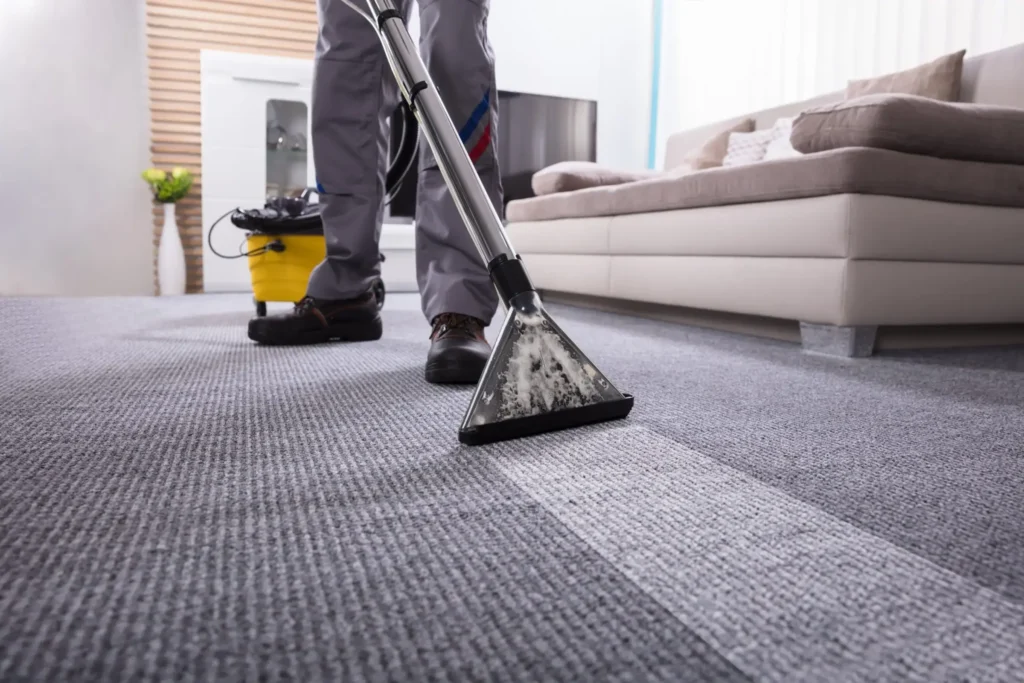 Carpet cleaning, steam cleaning, carpet shampoo